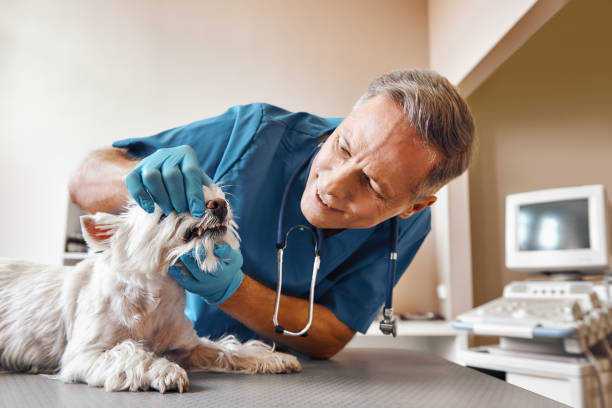 Best Emergency Wisdom Teeth Removal in Patterson, CA